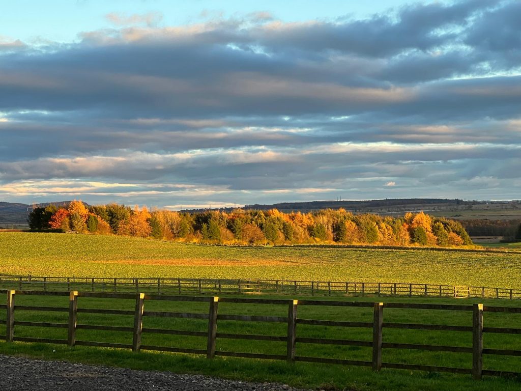 livery yard perthshire