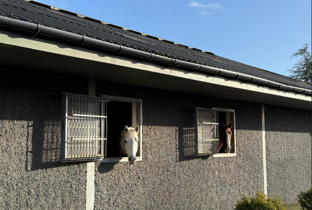 livery yard perthshire