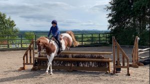 arena training perth